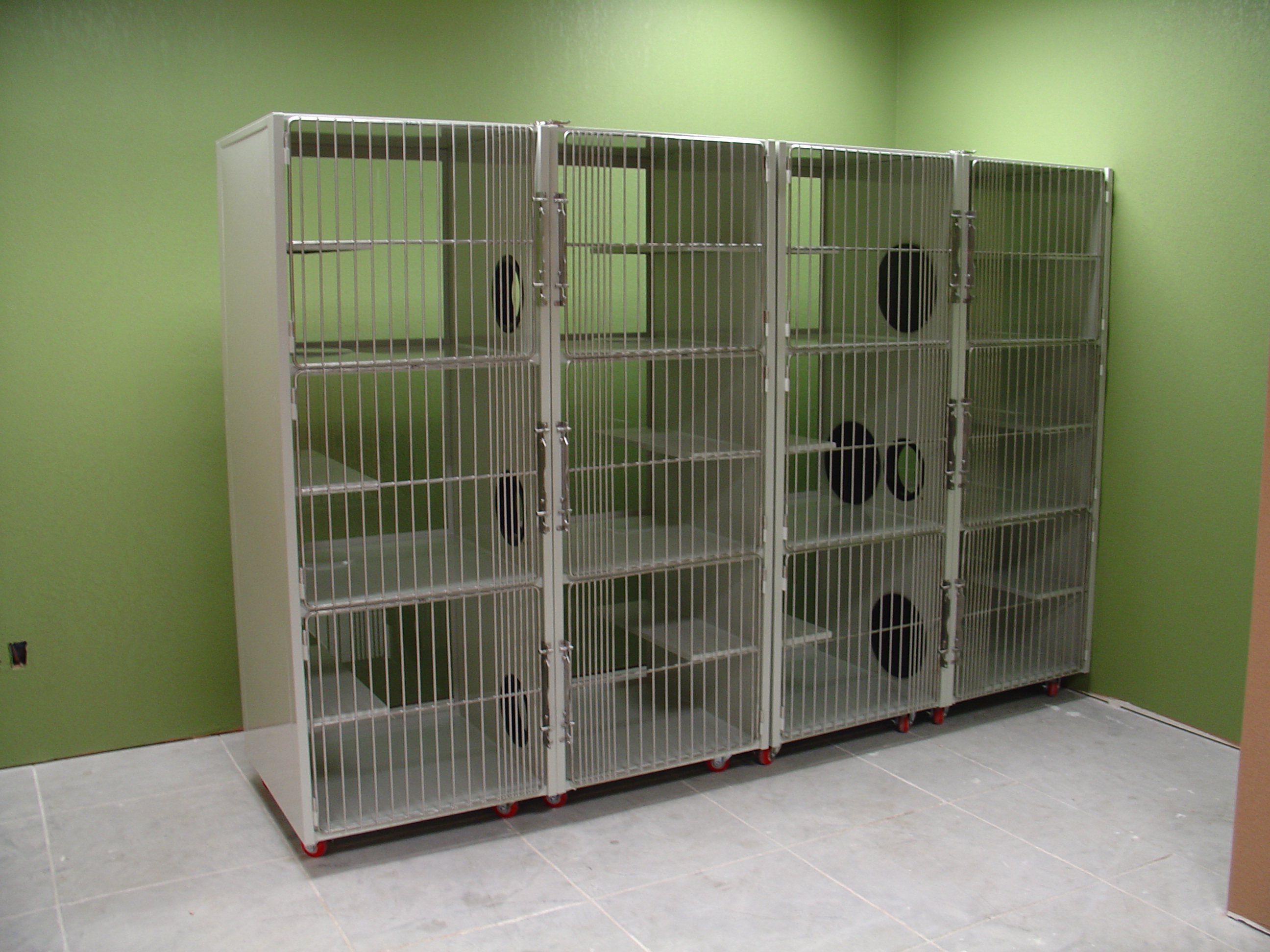 The Best Cat Condo Options for Cheerful Adoption Areas Direct Animal