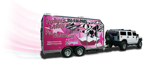 mobile pet grooming business