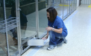 Dog Kennel Rotating Bowl Feeder