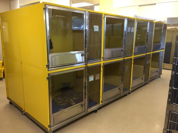 Double Stack Dog Kennel - Image 8