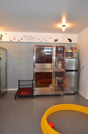 Double Stack Dog Kennel