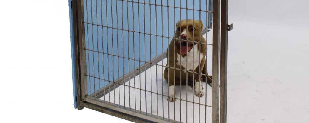 The affordable Direct Extreme Kennel System meets the needs of luxury pet boarding facilities, doggy day cares, animal control, rescues, shelters and veterinary hospitals.