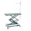 Direct Animal photo: When you need a dog grooming table that will meet a multitude of needs for many years to come, consider our Electric Lowboy Dog Grooming Table.