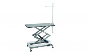 Direct Animal photo: When you need a dog grooming table that will meet a multitude of needs for many years to come, consider our Electric Lowboy Dog Grooming Table.