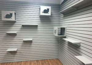 Cat Enrichment Wall
