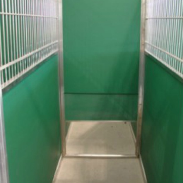 Dog Kennel Guillotine Door Direct Animal