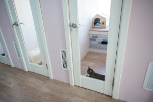Read more about the article Boosting Your Apartment Complex’s Appeal with Pet Boarding Solutions