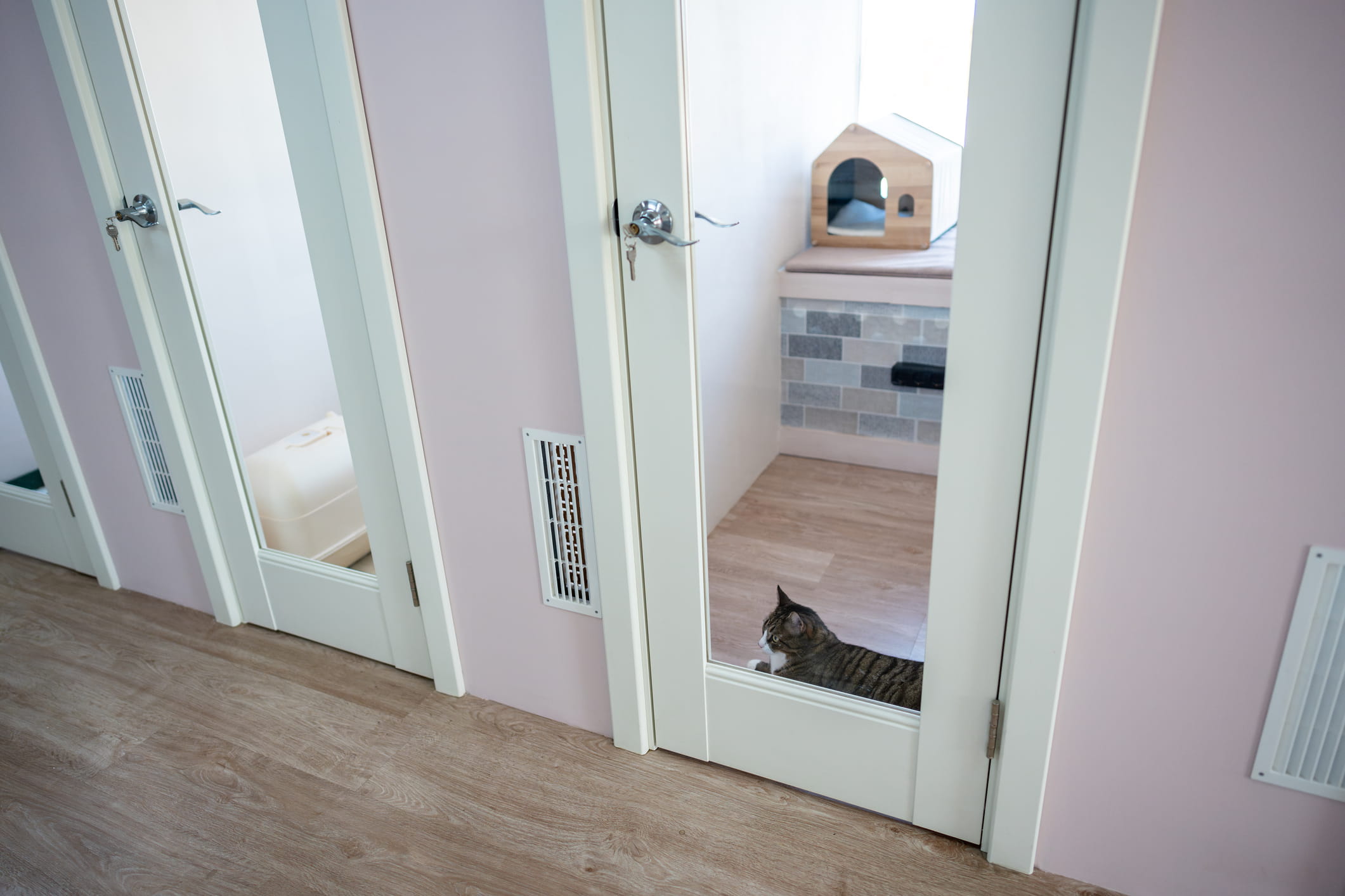Read more about the article Boosting Your Apartment Complex’s Appeal with Pet Boarding Solutions